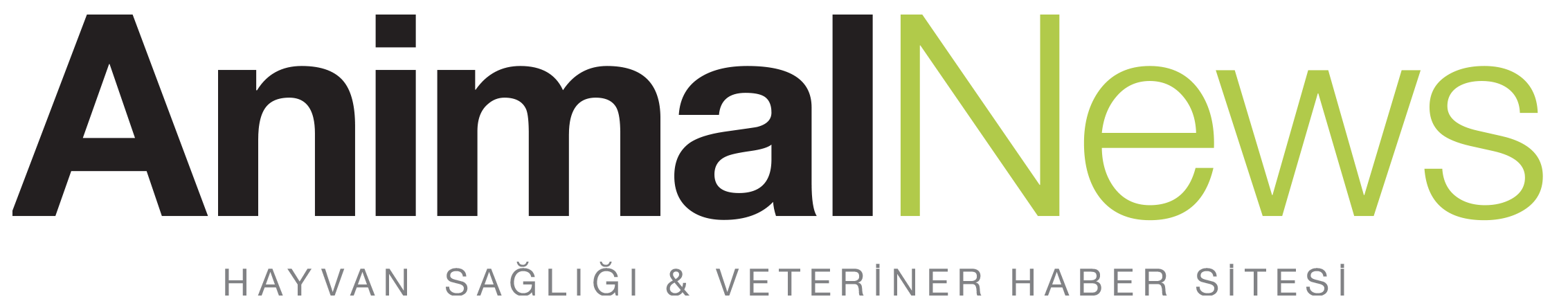 Animal News | Güncel Haberler